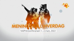 NAPHA konferansen 2022 Meningsfull hverdag - glad sommergruppe