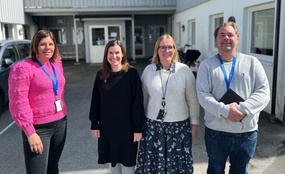 Felles tjenestevurderingsteam