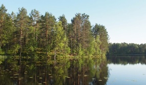sjø og skog 2554307