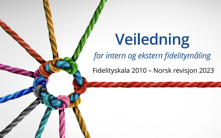 Veileder for FACT fidelityskala