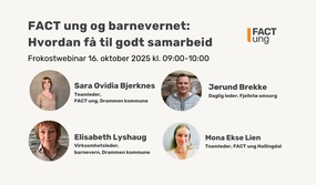 Frokostwebinar 161025