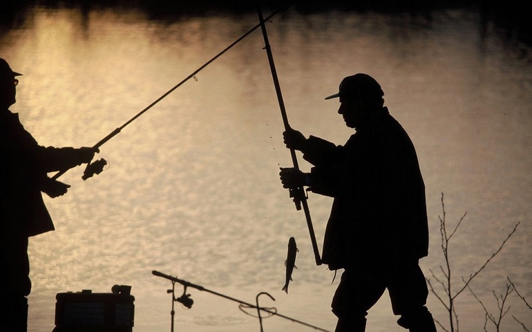 fisketur, sammen, delta, aktiviteter, menn, relasjoner