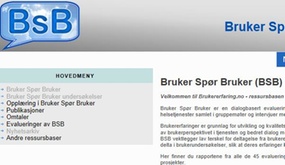 Bruker spør bruker ny nettside