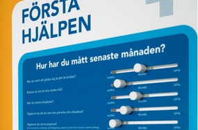 Førstehjelp mot psykisk uhelse i arbeidslivet, Hjärnkoll