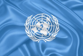 FN-flagget