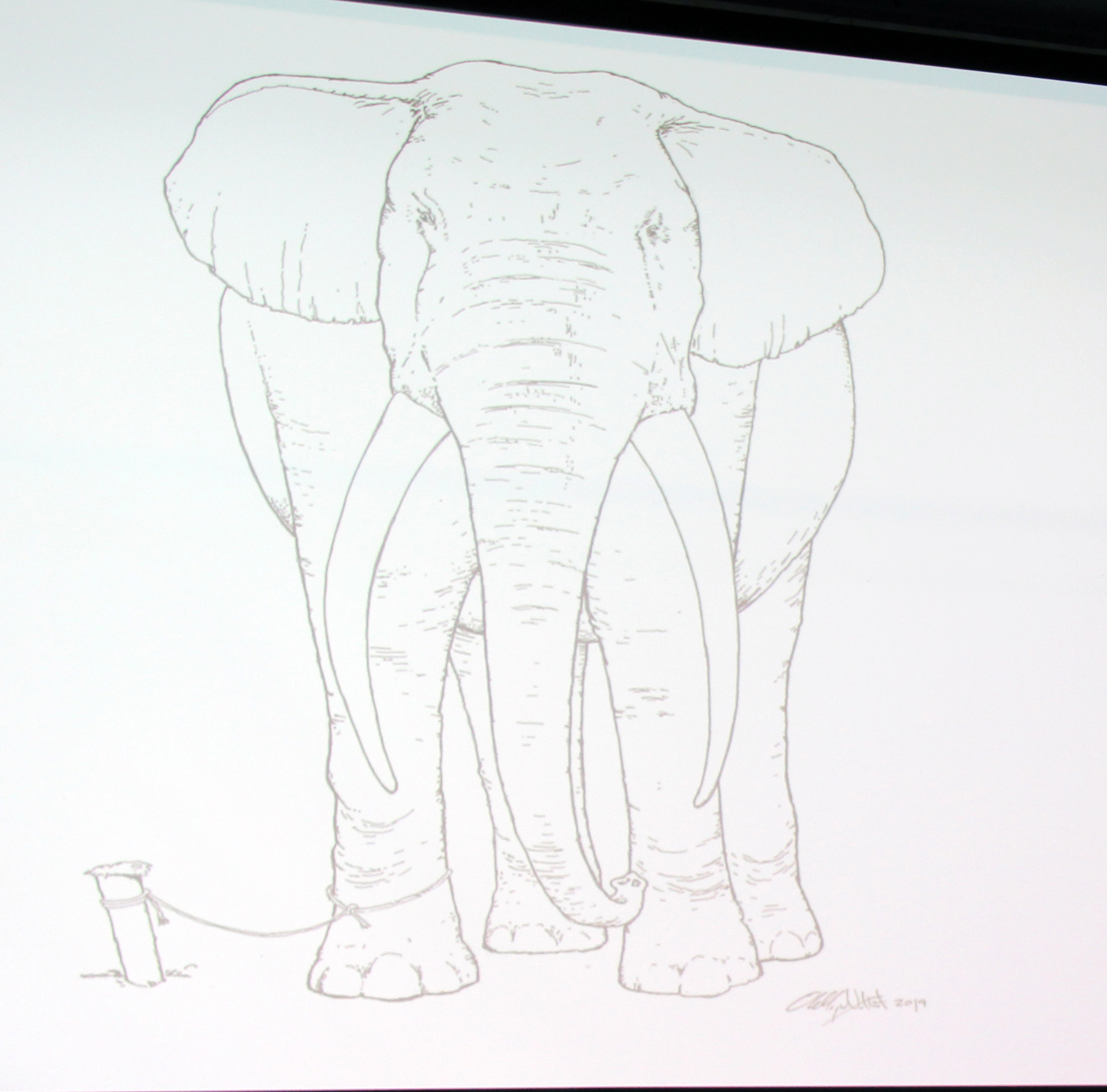 Tegning av fastbundet elefant