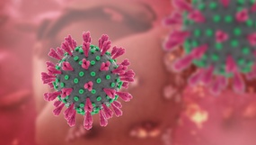 Korona-virus, grafisk fremstilling